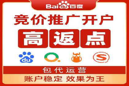 百度推广公司案例解析：如何利用百度推广实现快速转化